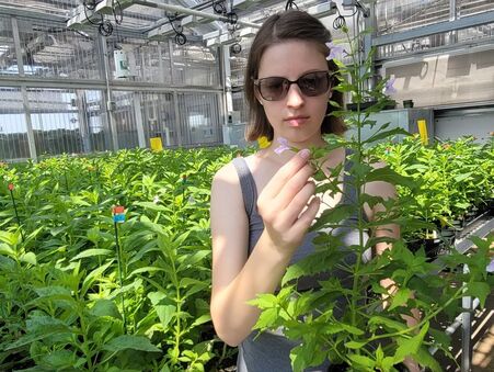 A photo of Wendy Semski, a white, late-20s female with short brown hair and glasses, standing in a greenhouse full of potted plants. Facing the camera, she is standing behind another plant and holds one of its flowers, looking downwards at it.